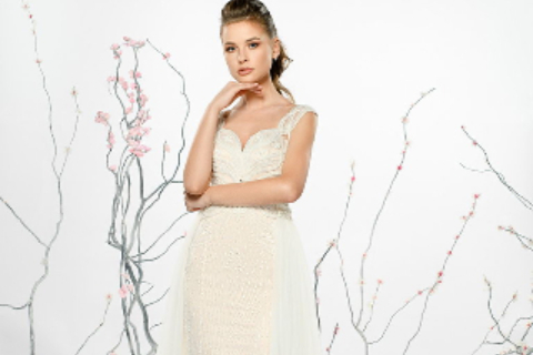 Campali Royal 23_Alinka T